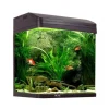 Aqua One AquaStyle 510 75L Curved Glass Aquarium - CLICK & COLLECT ONLY