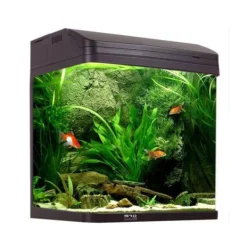 Aqua One AquaStyle 510 75L Curved Glass Aquarium - CLICK & COLLECT ONLY