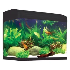 Aqua One AquaStyle 620 90L Curved Glass Aquarium - CLICK & COLLECT ONLY