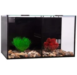 Aqua One Betta Condo Duo Aquarium