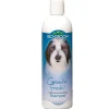 BioGroom Groom N Fresh Pet Shampoo 355mL