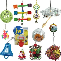 Bird Toy SURPRISE Pack