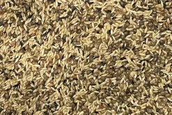 Budgie, Canary & Finch Tonic Mix 500g