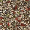 Cockatiel & Small Parrot Tonic Mix 500g