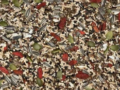 Cockatiel & Small Parrot Tonic Mix 500g
