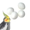 Cockatiel Fake Dummy Eggs 4 Pack