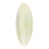 Cuttlefish Bone