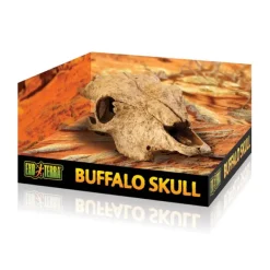 Exo Terra Buffalo Skull / Secure Hiding Place