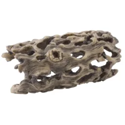 Exo Terra Cholla Cactus Skeleton