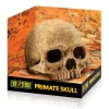 Exo Terra Primate Skull / Secure Hiding Place