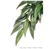 Exo Terra Silk Plant Ruscus