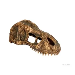 Exo Terra T-Rex Skull / Fossil Hide-Out Small