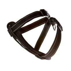 Ezy Dog Chest Plate Harness Black