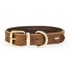 Ezy Dog Oxford Leather Classic Collar Brown