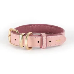 Ezy Dog Oxford Leather Classic Collar Pink