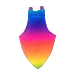 Flight Suit Bird Diaper Rainbow