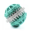 Fresheeze Fresh Breath Freshmint Dental Ball Rotate Medium