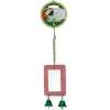 Green Parrot Bird Toy ACRYLIC MIRROR & BELL