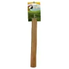Green Parrot WOOD PERCH Medium 2cm - 4cm