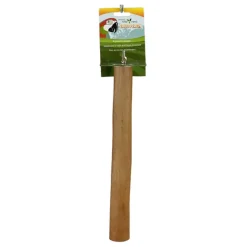 Green Parrot WOOD PERCH Medium 2cm - 4cm