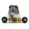 HayPigs Piggy Weightlifter Vegetable Kebab Maker