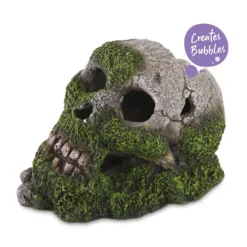 Kazoo Bubbling Skull with Moss Ornament