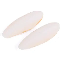 Kazoo Cuttlebone Natural Medium 2 pack