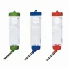 Kazoo Guinea Pig Drinking Bottle 250mL