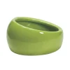 Living World Ergonomic Dish Green