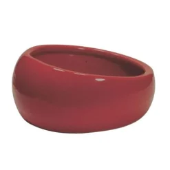 Living World Ergonomic Dish Terracotta
