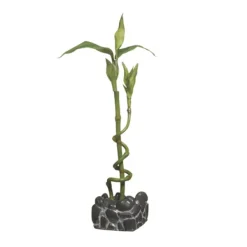 Marina 2L Betta Kit Bamboo Ornament