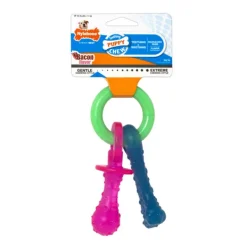 Nylabone Puppy Teething Pacifier