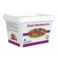 Pisces Mealworms LIVE Giant - CLICK & COLLECT ONLY