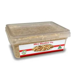 Pisces Mealworms LIVE Mini 25g - CLICK & COLLECT ONLY