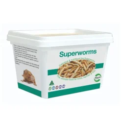 Pisces Mealworms LIVE Superworms - CLICK & COLLECT ONLY