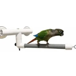 Polly's Window & Shower Perch