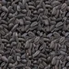Premium Bird Seed Black Sunflower Seed 3kg