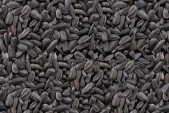 Premium Bird Seed Black Sunflower Seed 3kg