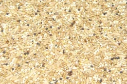 Premium Bird Seed Canary Mix