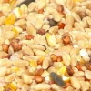 Premium Bird Seed Chicken Scratch Mix 4kg