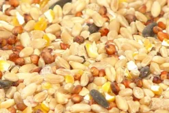 Premium Bird Seed Chicken Scratch Mix 4kg