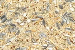 Premium Bird Seed Cockatiel Mix