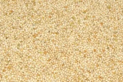 Premium Bird Seed French White Millet 3kg