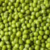 Premium Bird Seed Green Mung Beans 2kg
