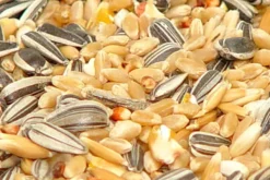 Premium Bird Seed Large Parrot Mix 3kg