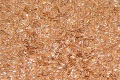 Premium Bird Seed Linseed 3kg