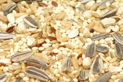 Premium Bird Seed Parrot Mix