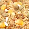 Premium Bird Seed Pigeon Mix 3kg