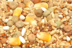 Premium Bird Seed Pigeon Mix 3kg