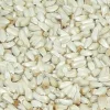 Premium Bird Seed Safflower Seed 3kg